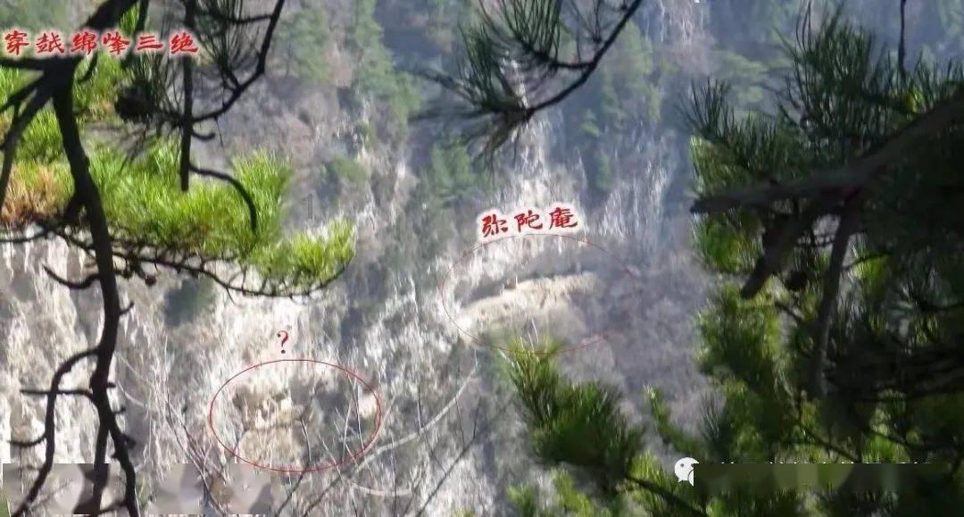 逗小猴开心系列179